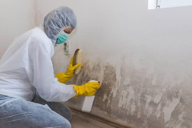 Best HVAC Mold Inspection and Cleaning  in Desoto, TX