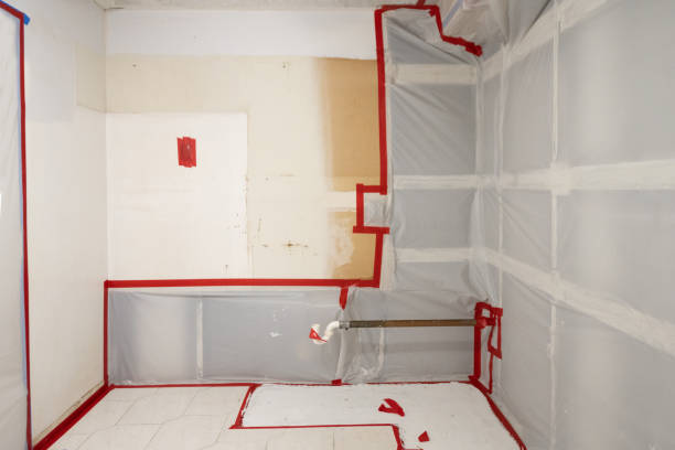 Best Forensic Mold Investigation  in Desoto, TX